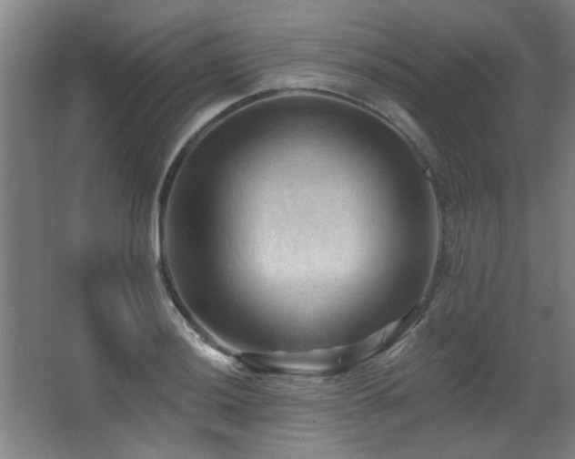 X0000068741036200604281134