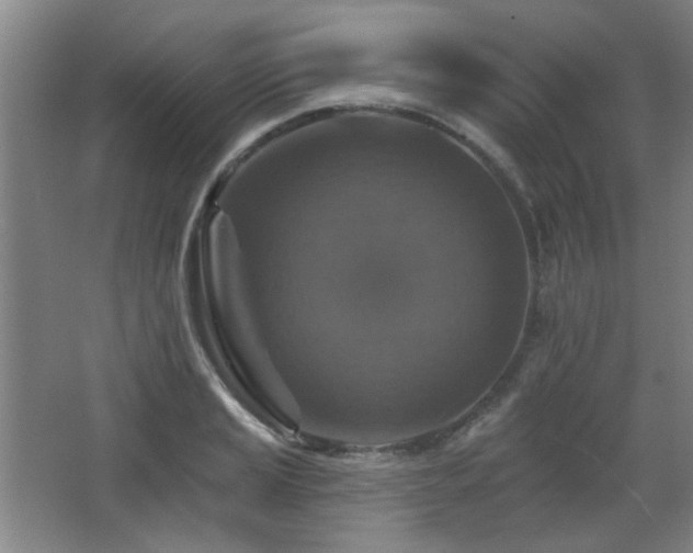 X0000068741037200604281134