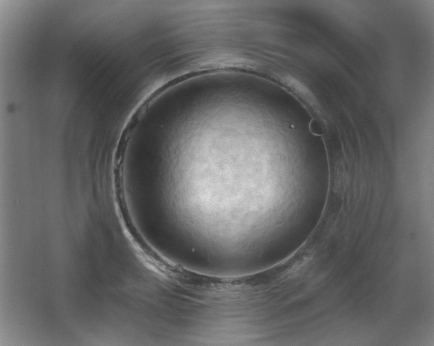 X0000068741039200604281134