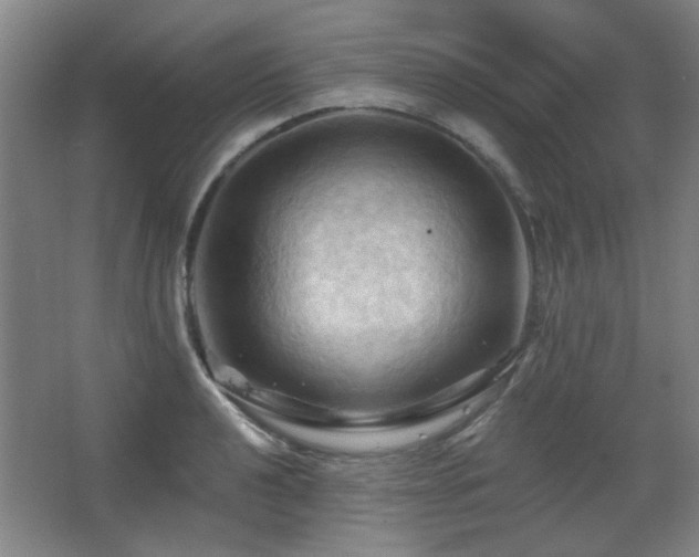 X0000068741040200604281134