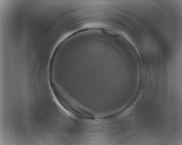 X0000068741045200604281134