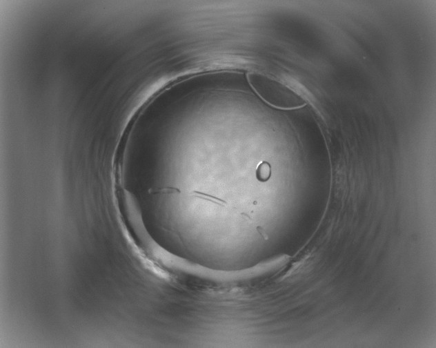 X0000068741047200604281134