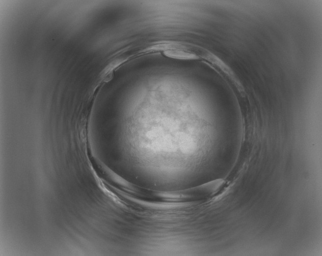 X0000068741049200604281134