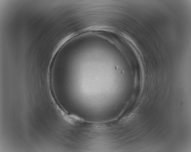 X0000068741050200604281134