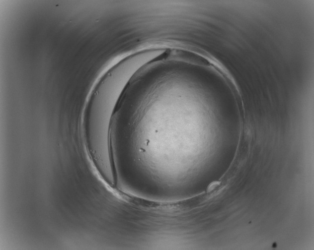 X0000068741053200604281134