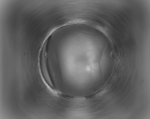 X0000068741055200604281134