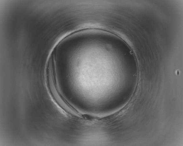 X0000068741056200604281134