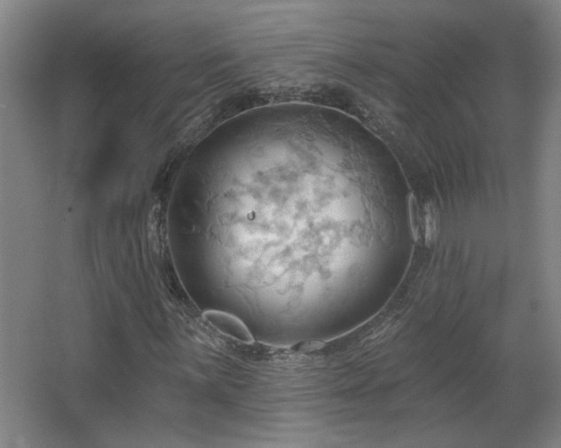 X0000068741059200604281134