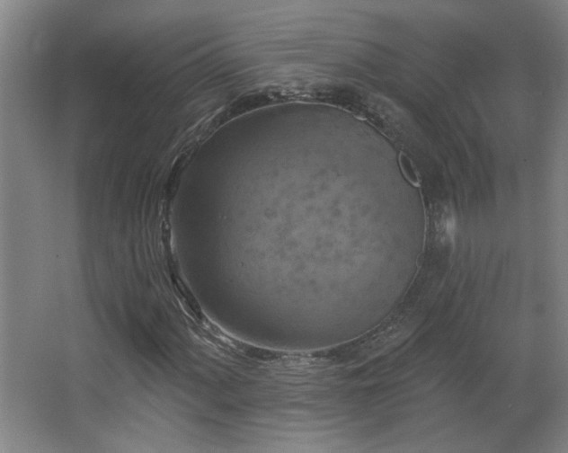 X0000068741060200604281134