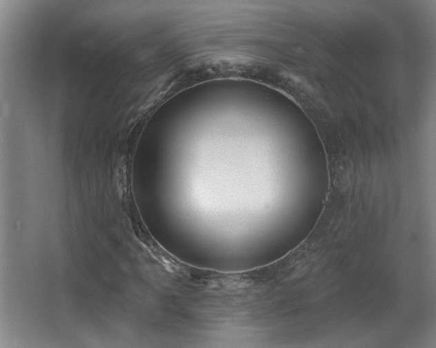 X0000068741061200604281134