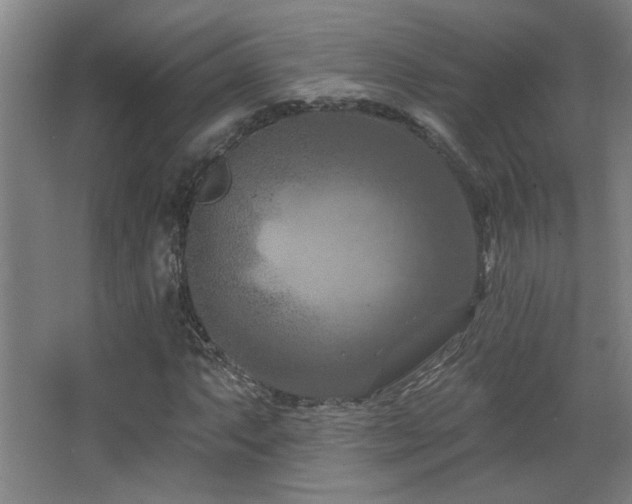 X0000068741063200604281134