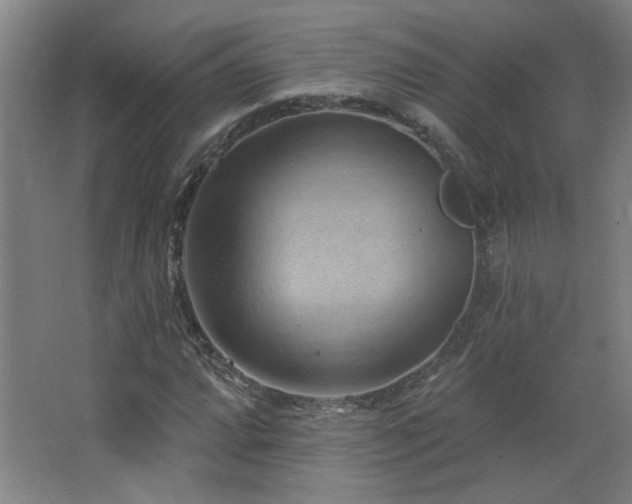 X0000068741064200604281134