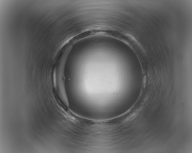 X0000068741065200604281134