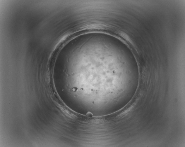 X0000068741067200604281133