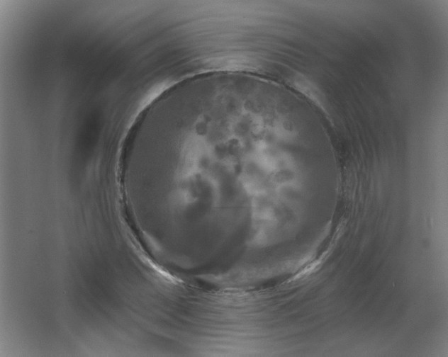 X0000068741071200604281133