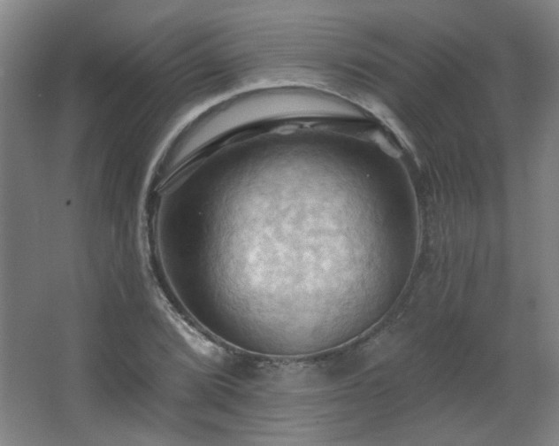 X0000068741072200604281133