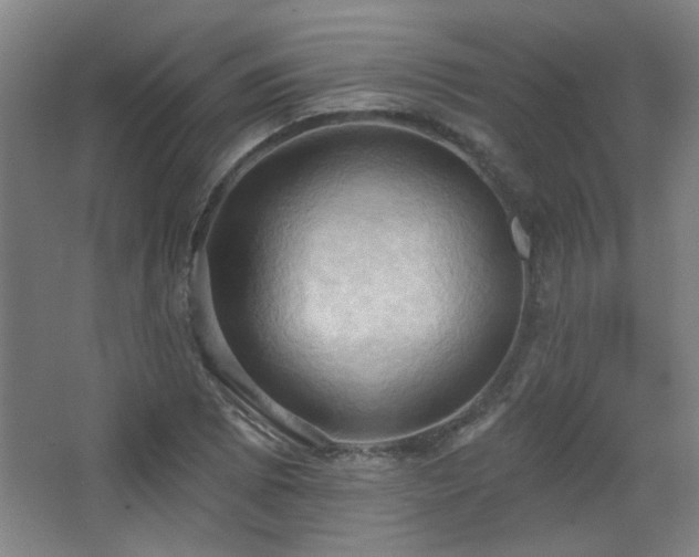 X0000068741073200604281133