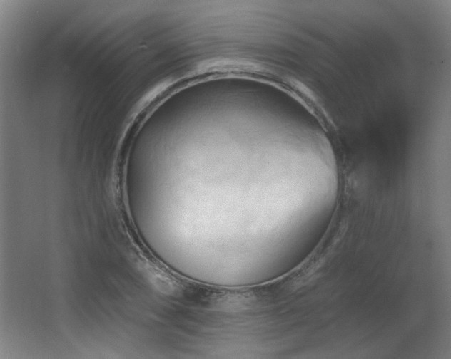 X0000068741074200604281133