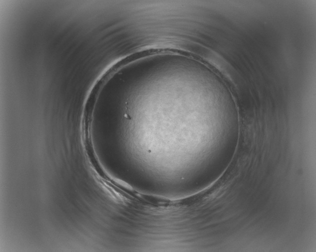 X0000068741076200604281133