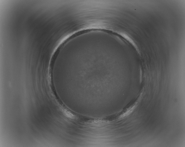 X0000068741077200604281133