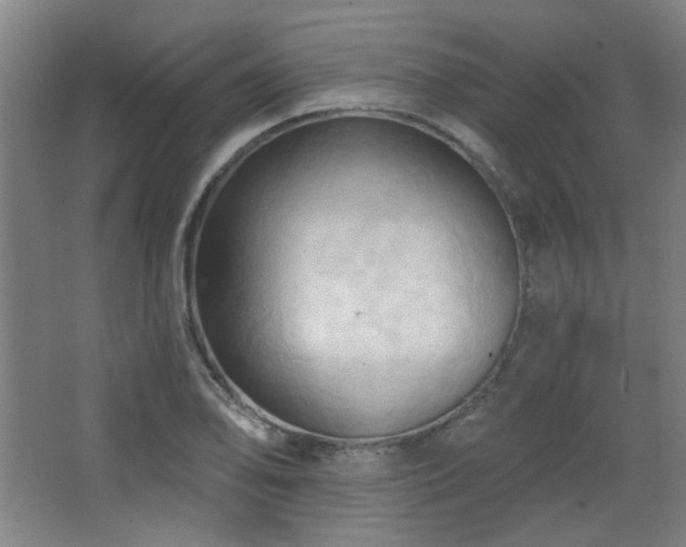 X0000068741078200604281133