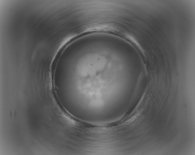 X0000068741079200604281133