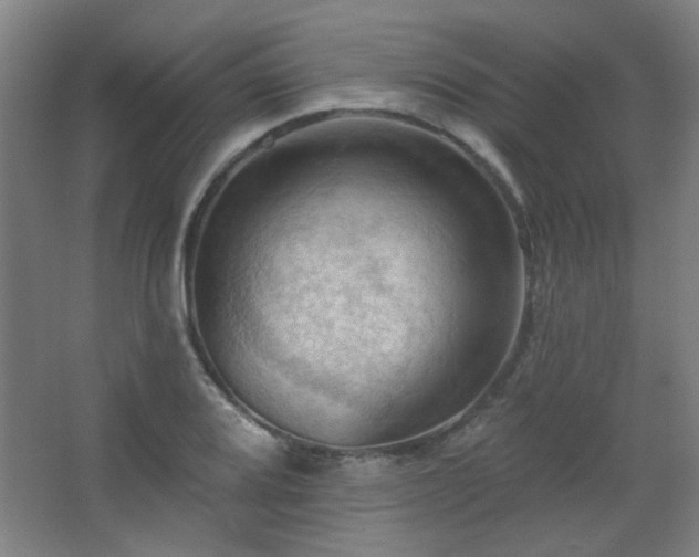 X0000068741080200604281133