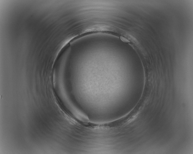 X0000068741081200604281133