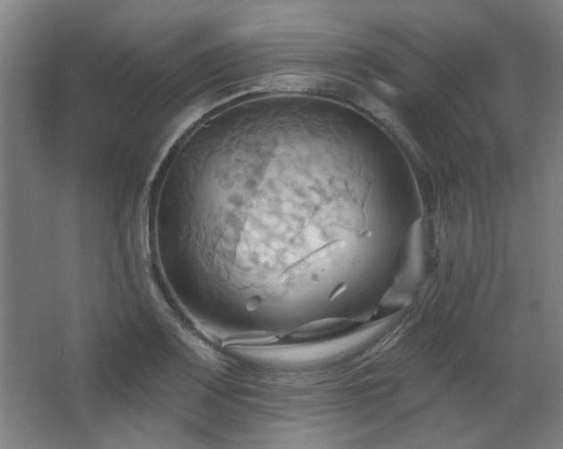 X0000068741083200604281133