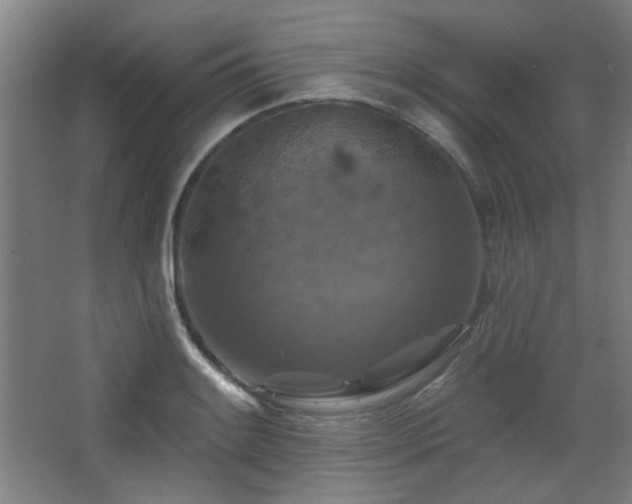 X0000068741084200604281133