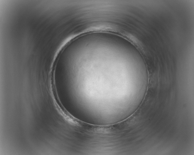 X0000068741086200604281133