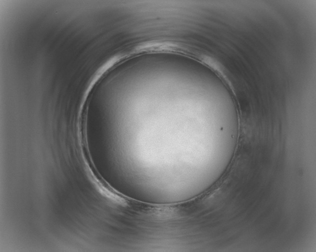 X0000068741090200604281133