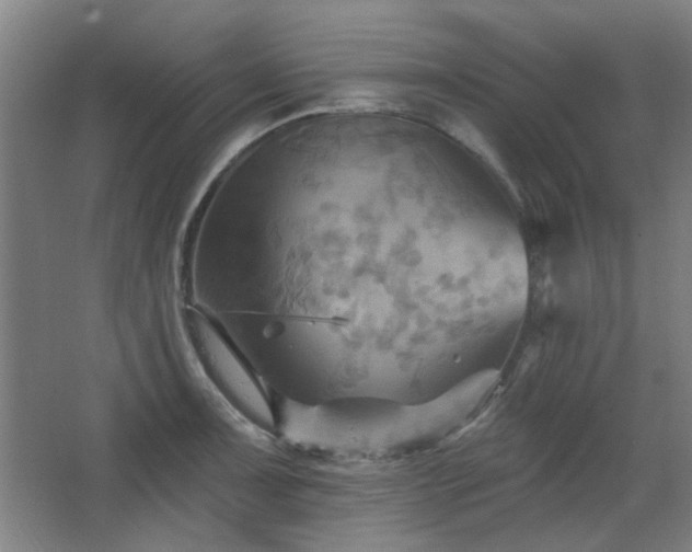 X0000068741091200604281133