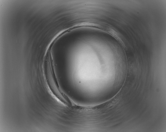 X0000068741092200604281133