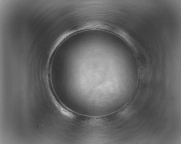 X0000068741094200604281133