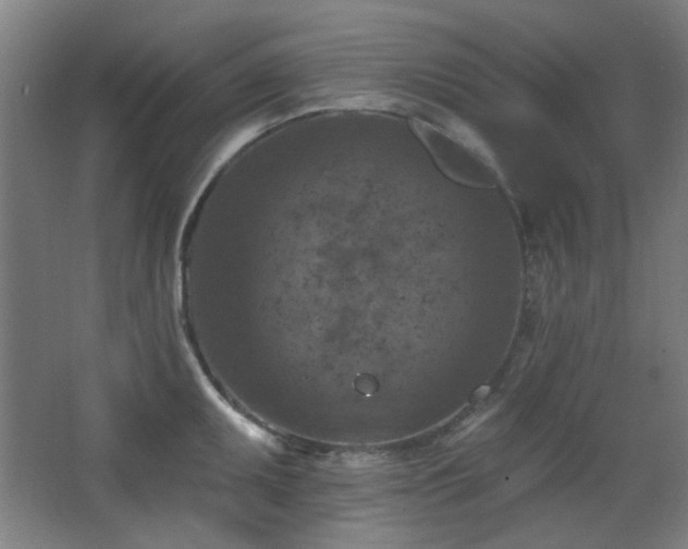 X0000068741095200604281133