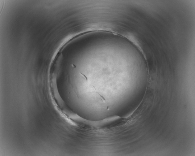 X0000068741096200604281133