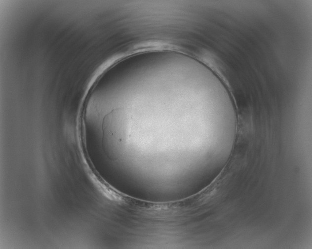 X0000068741098200604281133