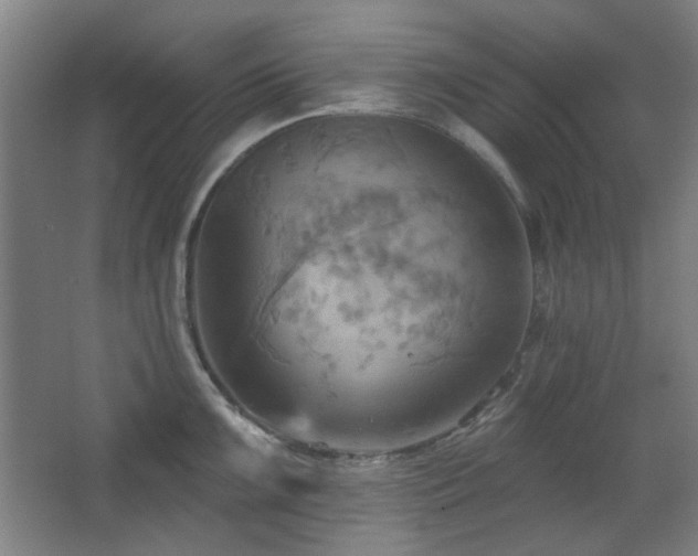 X0000068741099200604281133