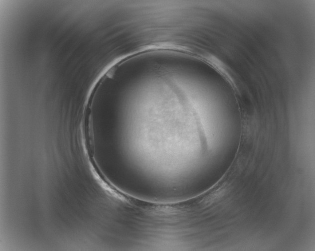 X0000068741100200604281133