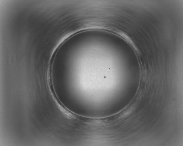 X0000068741101200604281133