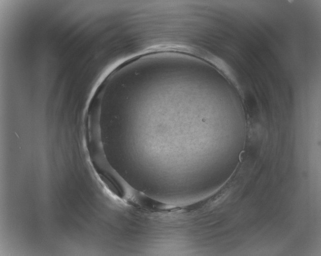 X0000068741102200604281133