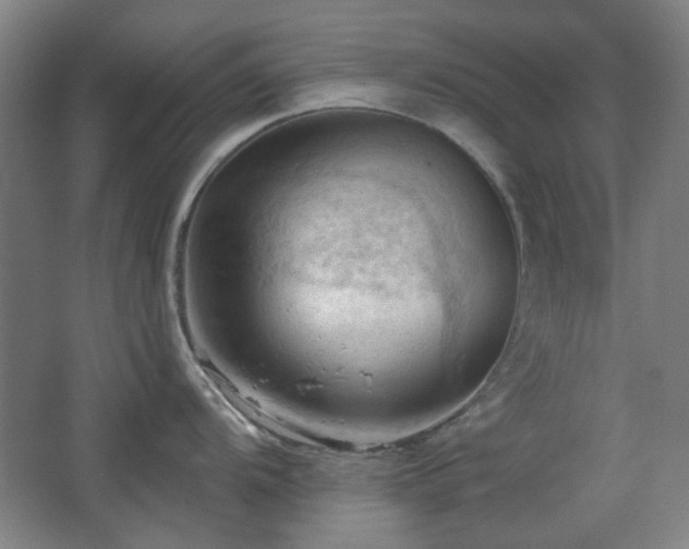 X0000068741104200604281133