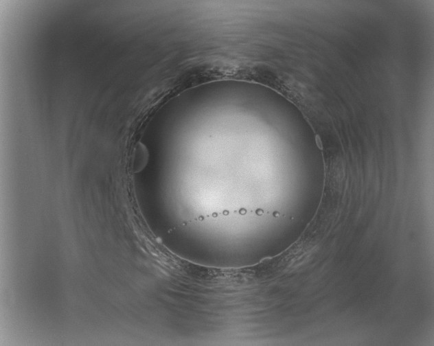 X0000068741105200604281132