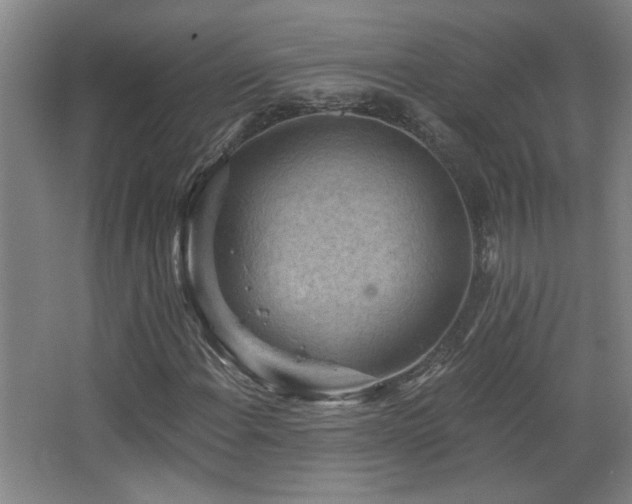 X0000068741108200604281132