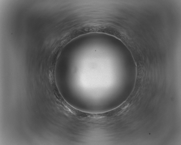 X0000068741109200604281132