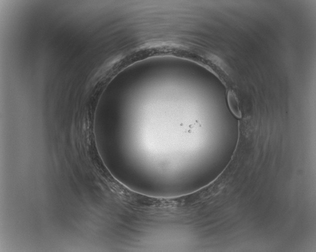 X0000068741111200604281132