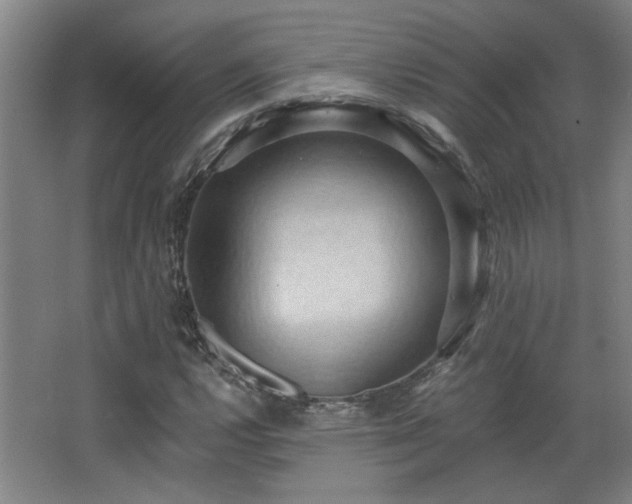 X0000068741112200604281132