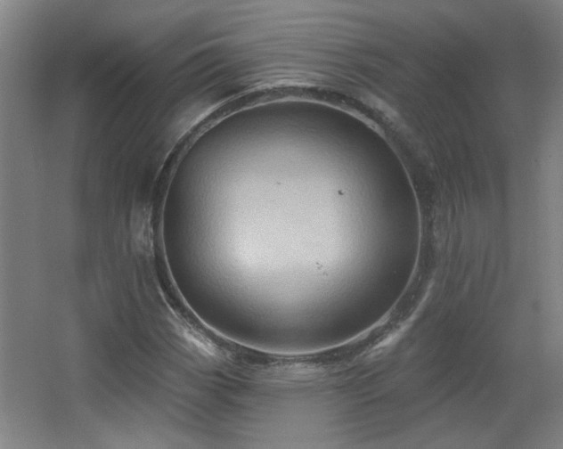 X0000068741113200604281132