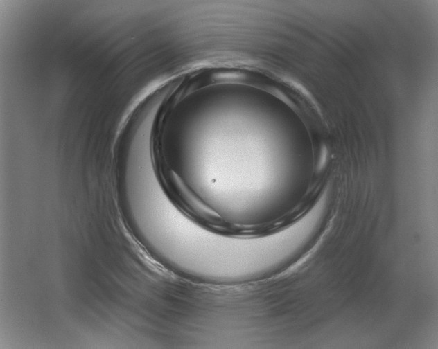 X0000068741114200604281132